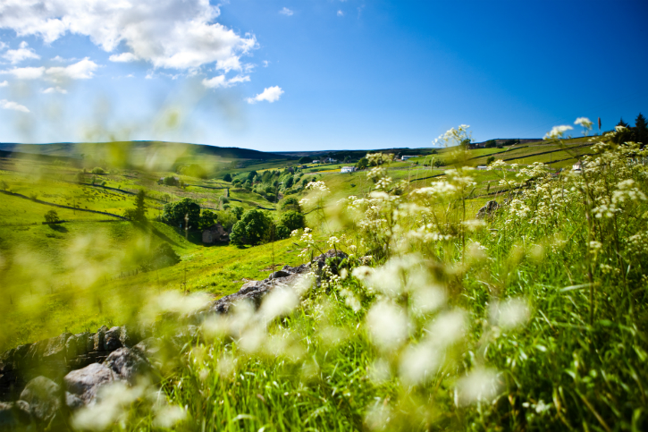 Durham Dales